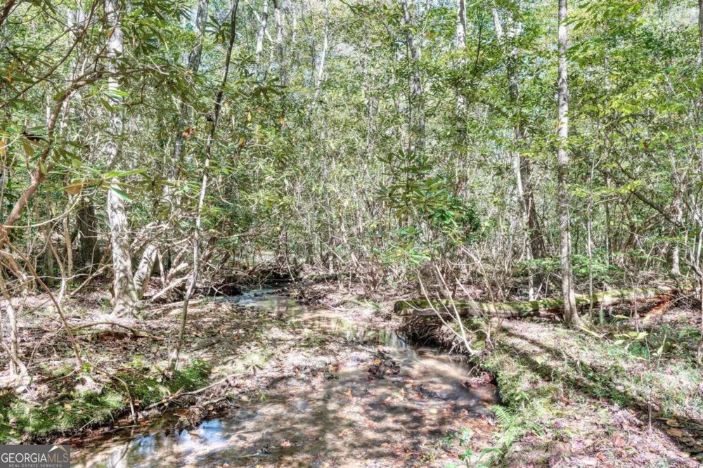 3966 Hickory Nut DR Hiawassee, GA 30546