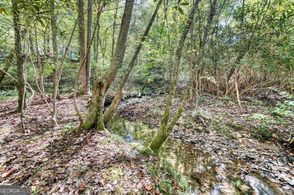 3966 Hickory Nut DR Hiawassee, GA 30546