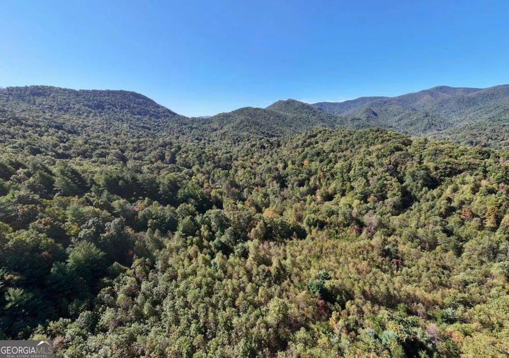 3966 Hickory Nut DR Hiawassee, GA 30546