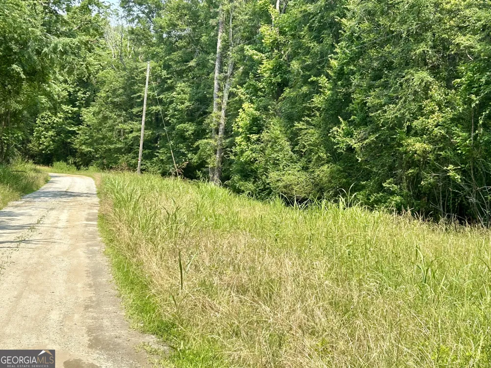 0 Pearl Mill RD Elberton, GA 30635