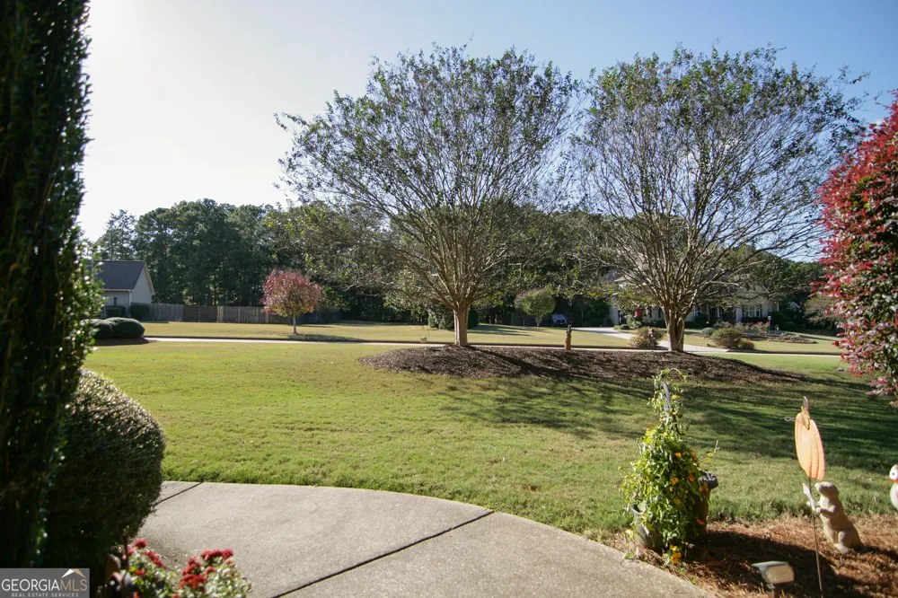 25 Magnolia Place CT Senoia, GA 30276
