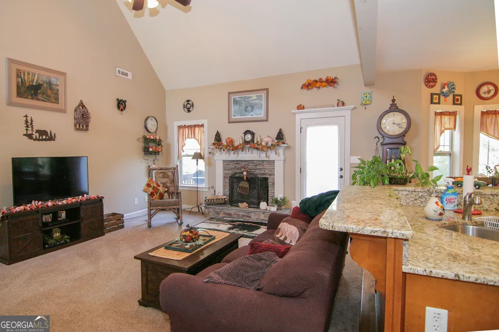 25 Magnolia Place CT Senoia, GA 30276