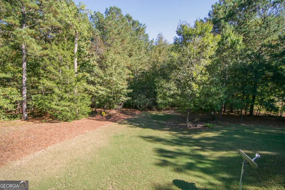 25 Magnolia Place CT Senoia, GA 30276