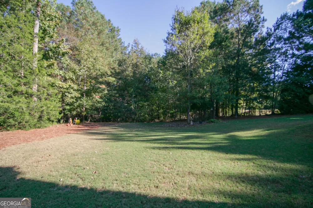 25 Magnolia Place CT Senoia, GA 30276