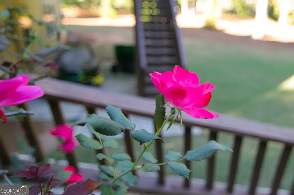 25 Magnolia Place CT Senoia, GA 30276