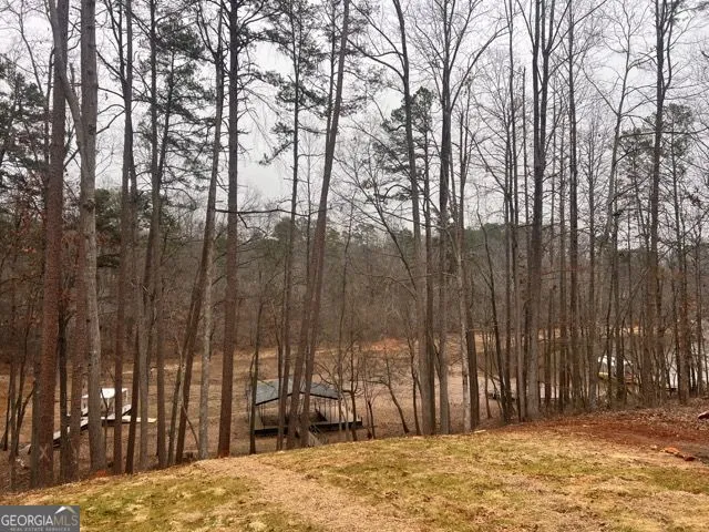 410 Lakeside Hills RD Martin, GA 30557