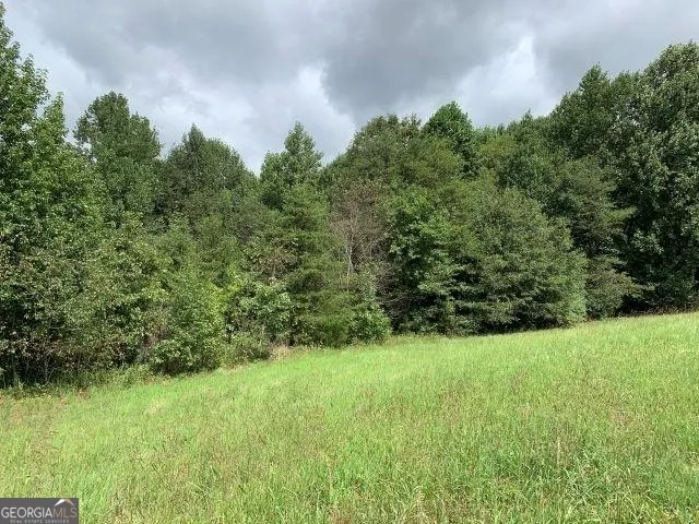 7322 Tribble Gap RD Alto, GA 30510