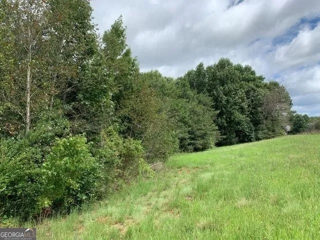 7322 Tribble Gap RD Alto, GA 30510