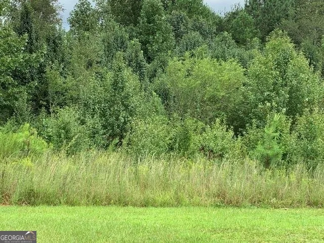 7322 Tribble Gap RD Alto, GA 30510