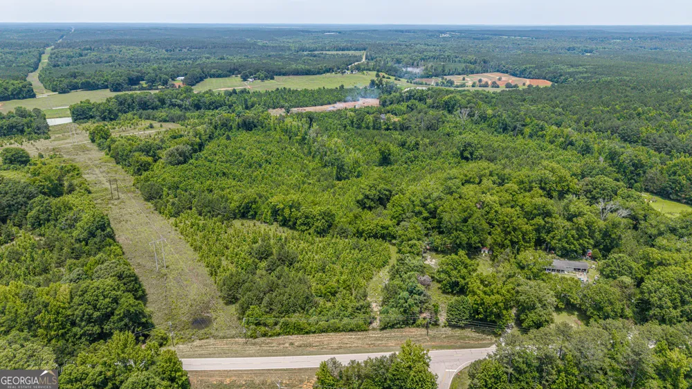0 Washington HWY Union Point, GA 30669