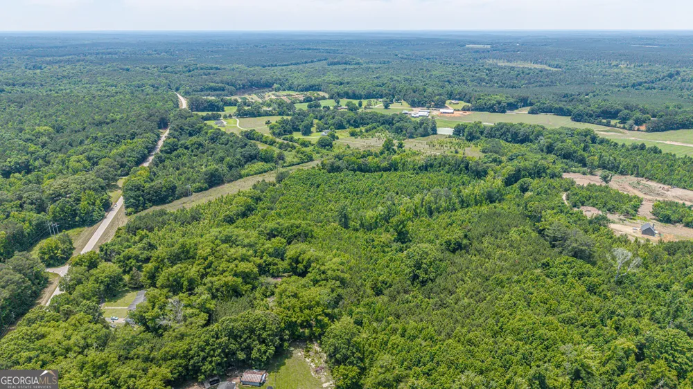 0 Washington HWY Union Point, GA 30669