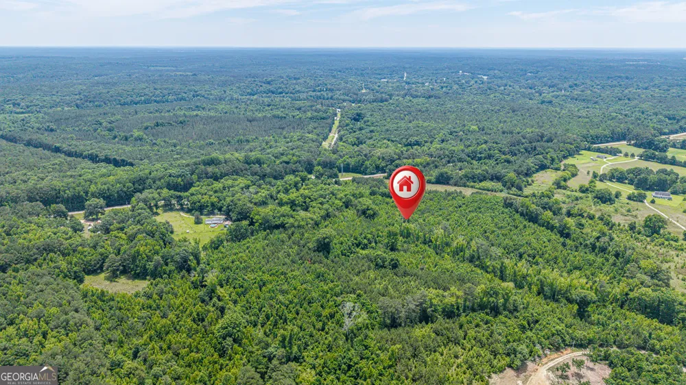 0 Washington HWY Union Point, GA 30669