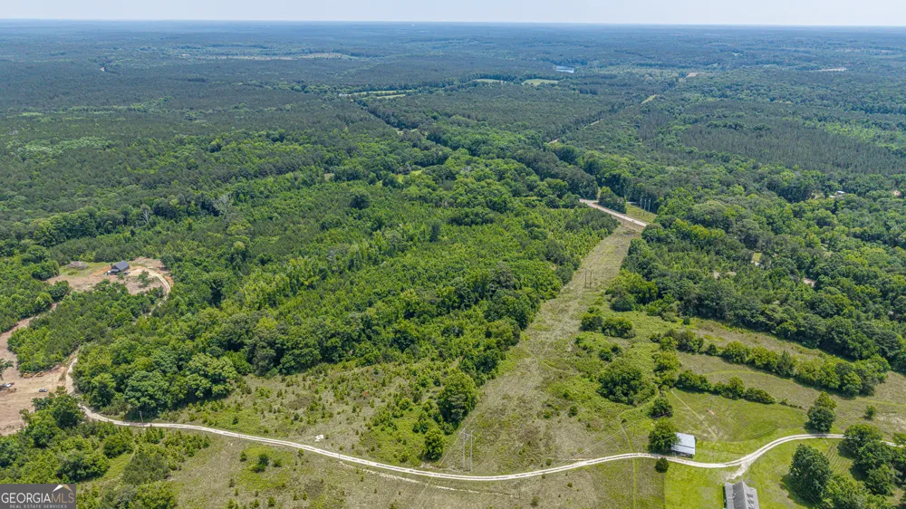 0 Washington HWY Union Point, GA 30669