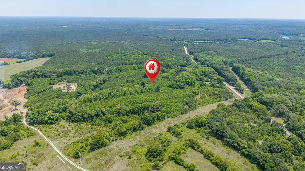 0 Washington HWY Union Point, GA 30669