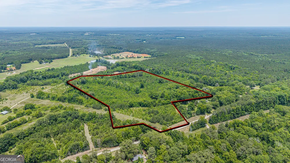 0 Washington HWY Union Point, GA 30669