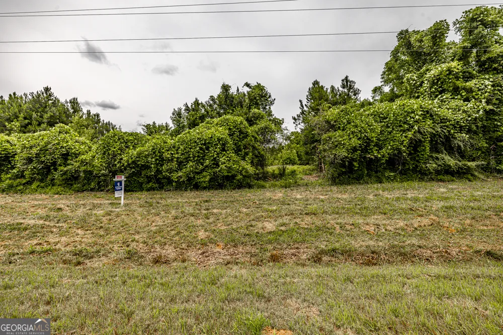 0 Washington HWY Union Point, GA 30669