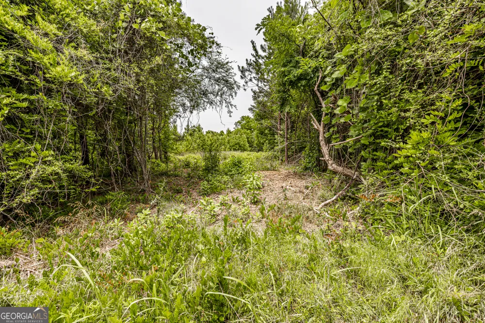 0 Washington HWY Union Point, GA 30669