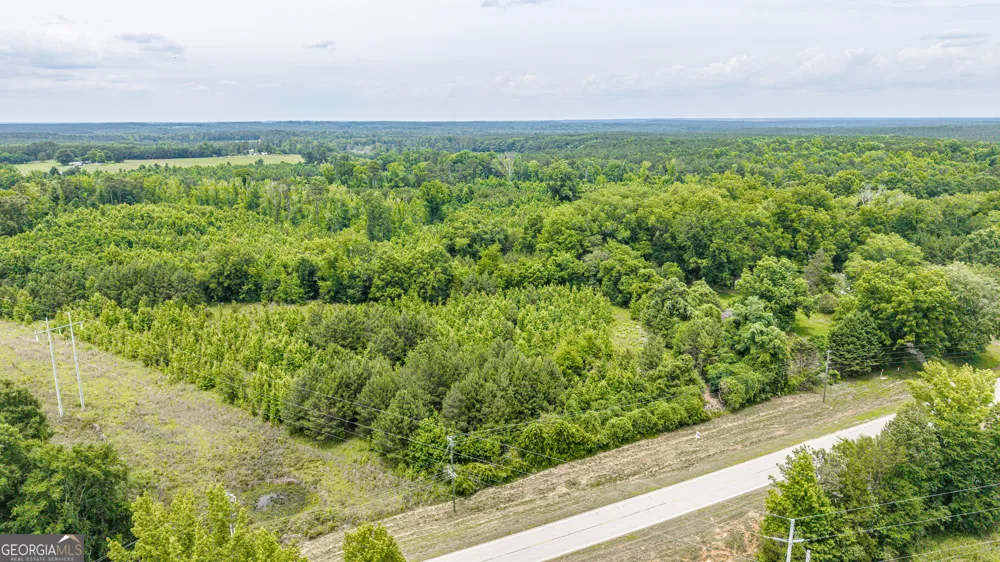 0 Washington HWY Union Point, GA 30669