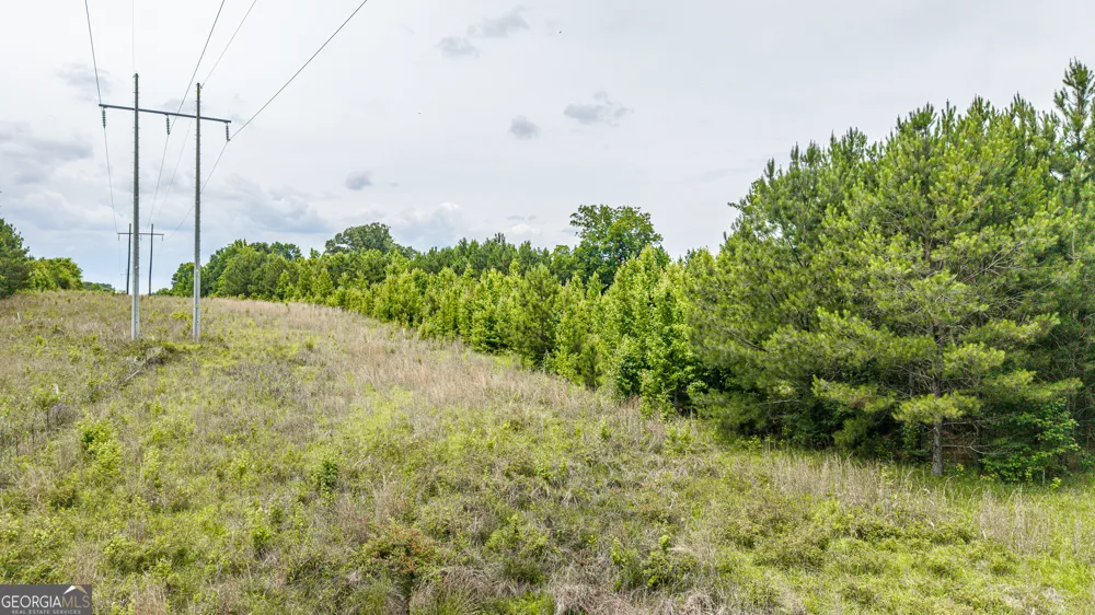 0 Washington HWY Union Point, GA 30669