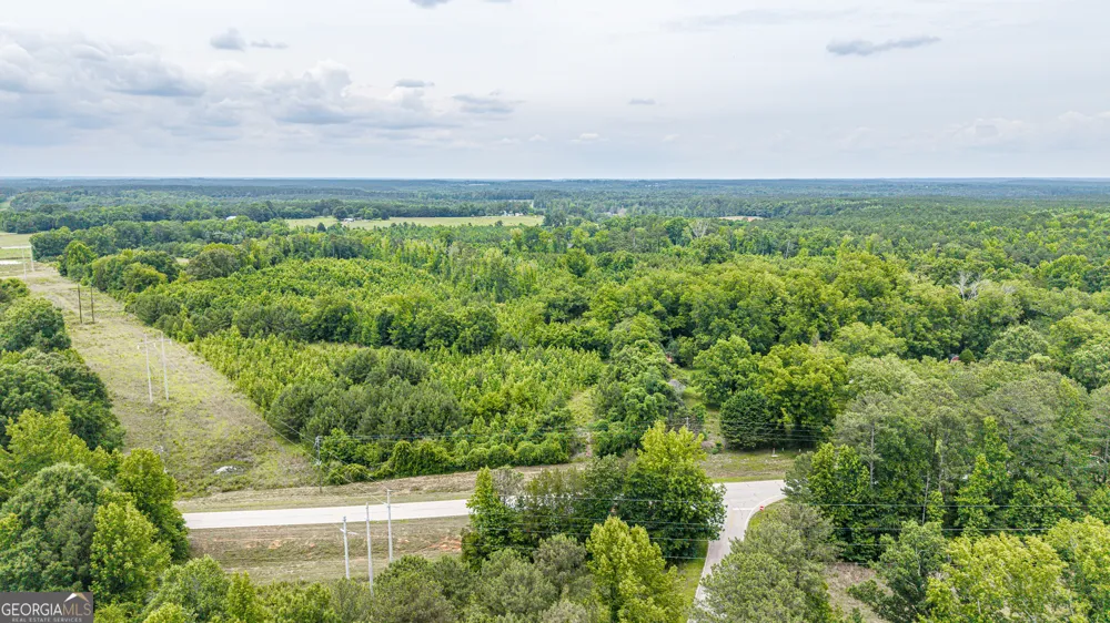 0 Washington HWY Union Point, GA 30669