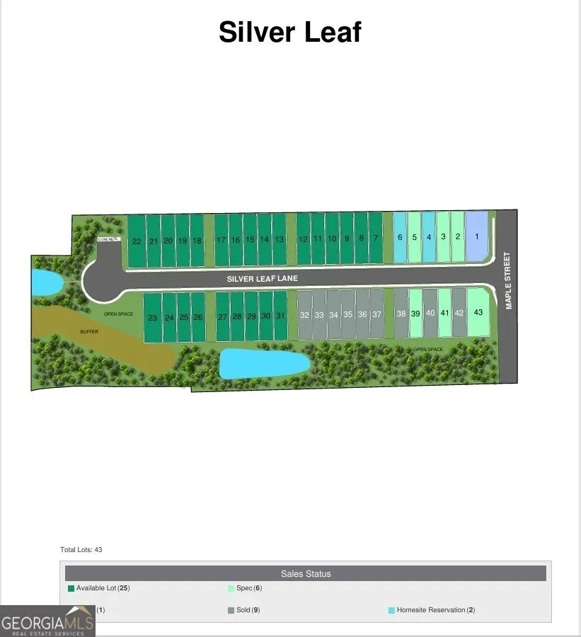 16 Silver Leaf LN Dawsonville, GA 30534