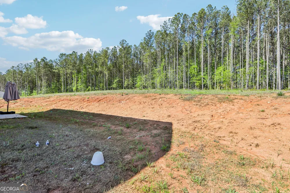 1419 Hunter Welch PKWY Luthersville, GA 30251