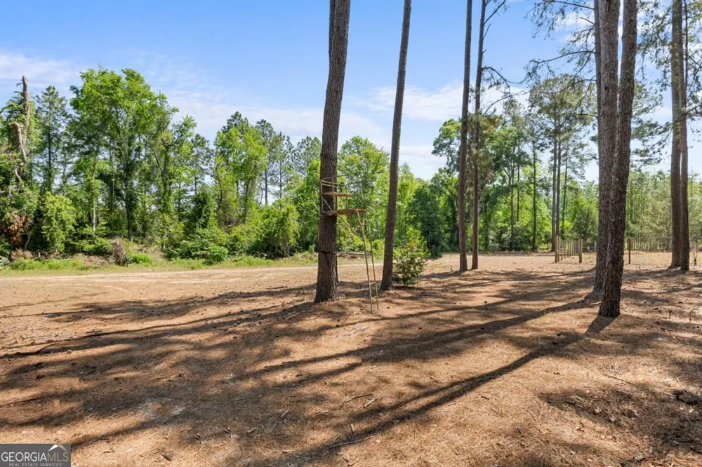 392 Indigo Hills RD Pembroke, GA 31321