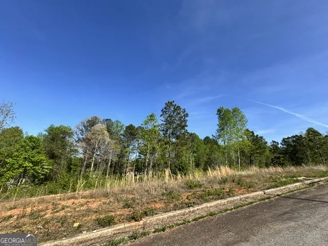228 Oakdale WAY Temple, GA 30179