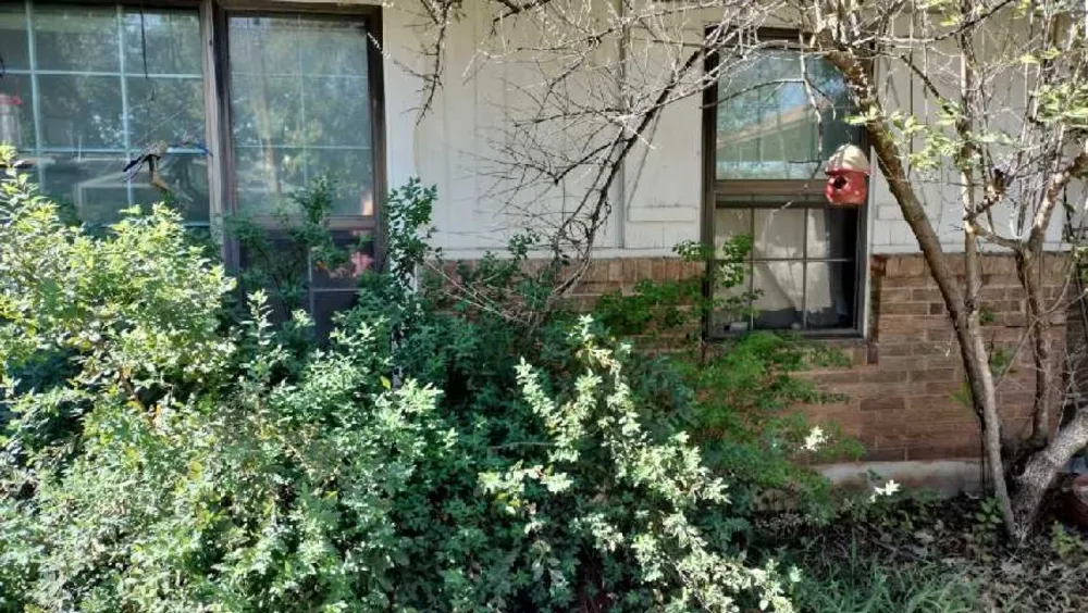 702 Starkey Street Bangs, TX 76823