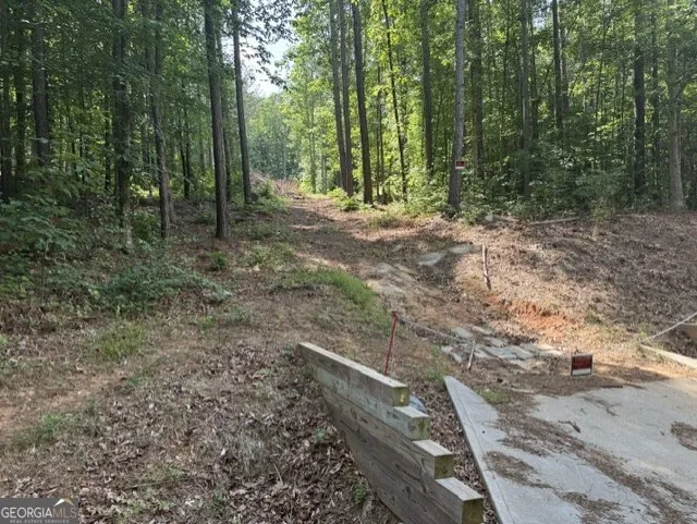 108 Sawtooth PL Carnesville, GA 30521