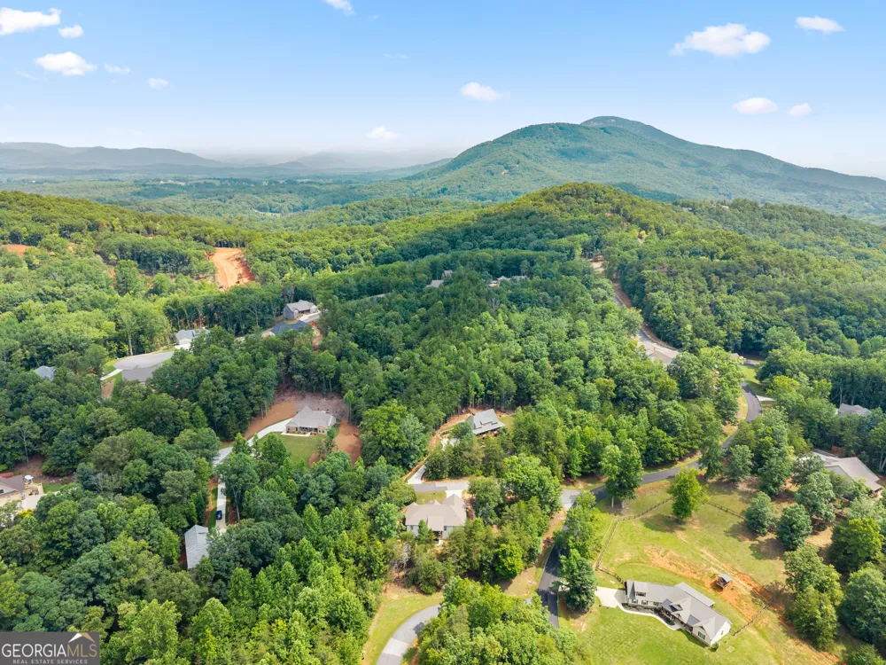 35 Chimney LN Cleveland, GA 30528