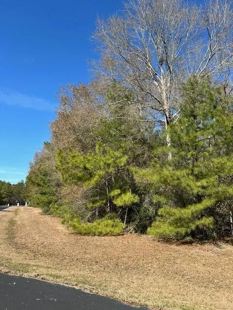 7994 Rodeo Drive Waller, TX 77484