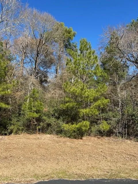 7994 Rodeo Drive Waller, TX 77484