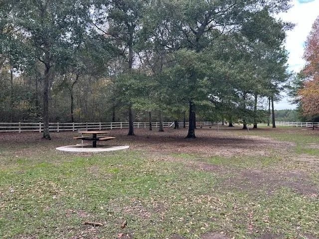 7994 Rodeo Drive Waller, TX 77484