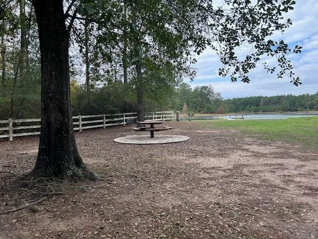 7994 Rodeo Drive Waller, TX 77484