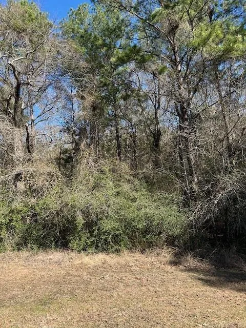 7994 Rodeo Drive Waller, TX 77484