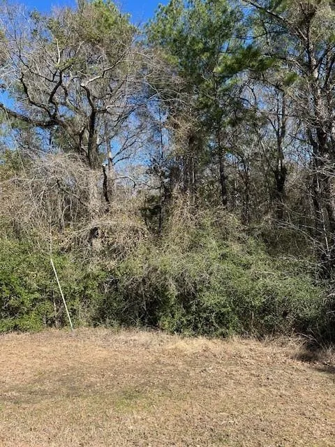 7994 Rodeo Drive Waller, TX 77484