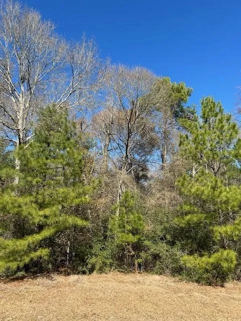 7994 Rodeo Drive Waller, TX 77484