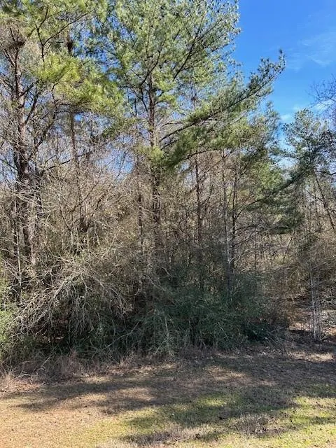 17751 Appaloosa Drive Waller, TX 77484