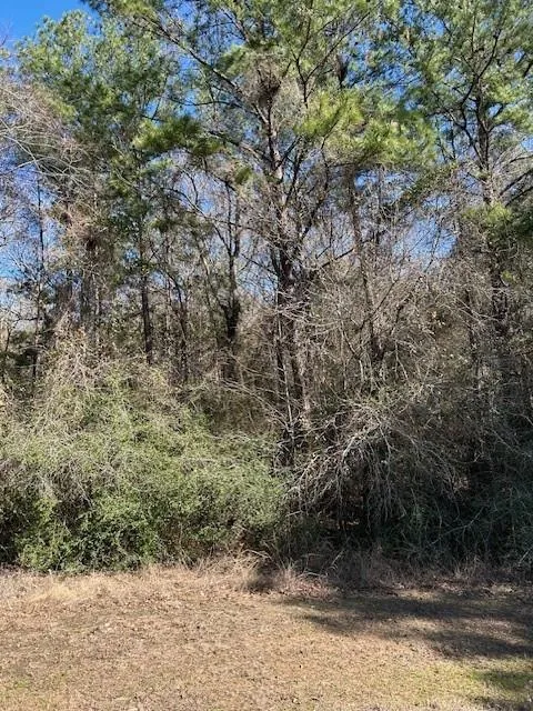 17751 Appaloosa Drive Waller, TX 77484