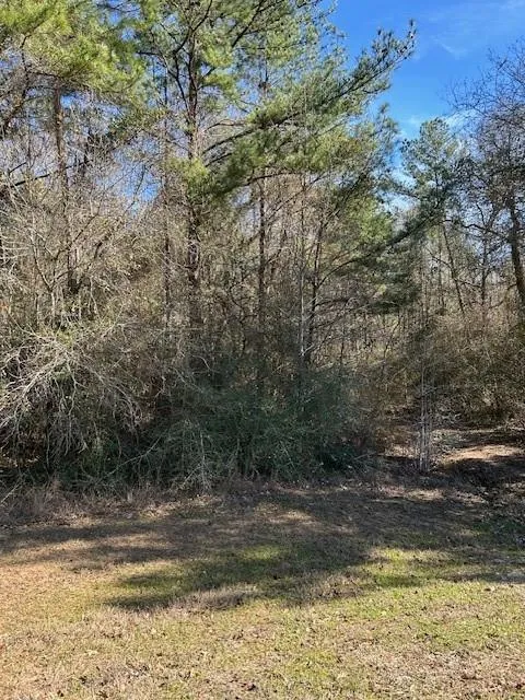 17751 Appaloosa Drive Waller, TX 77484