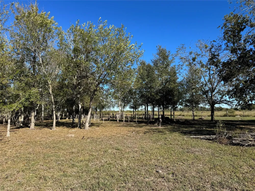 13 0 Mesquite Road Wallis, TX 77485