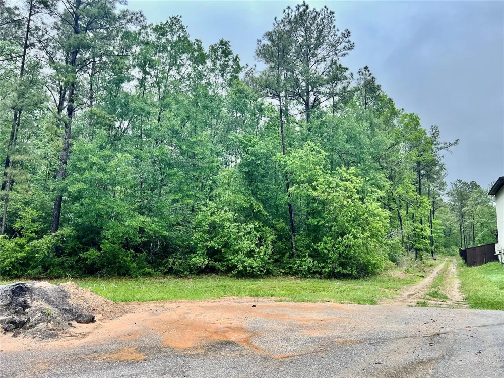 1069 Runner Drive Dayton, TX 77535