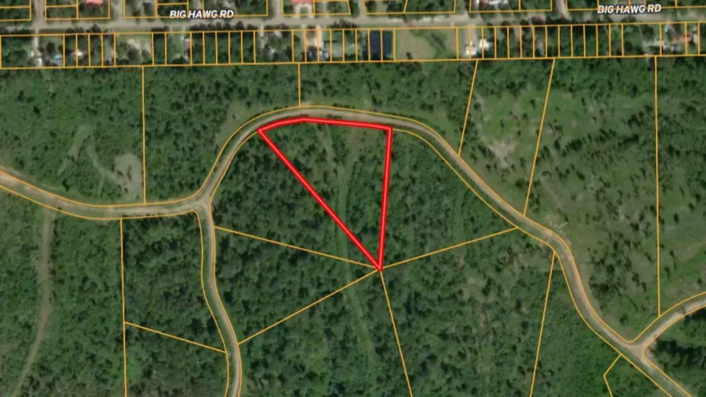 Eagle Falls Boulevard Trinity, TX 75862