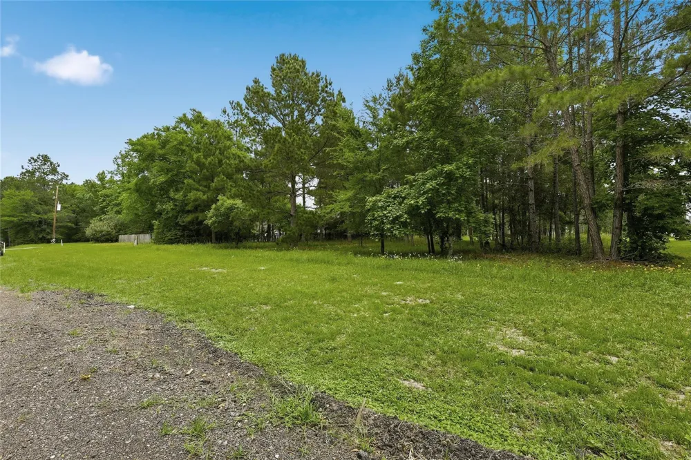2302 Honea Egypt Road Magnolia, TX 77354