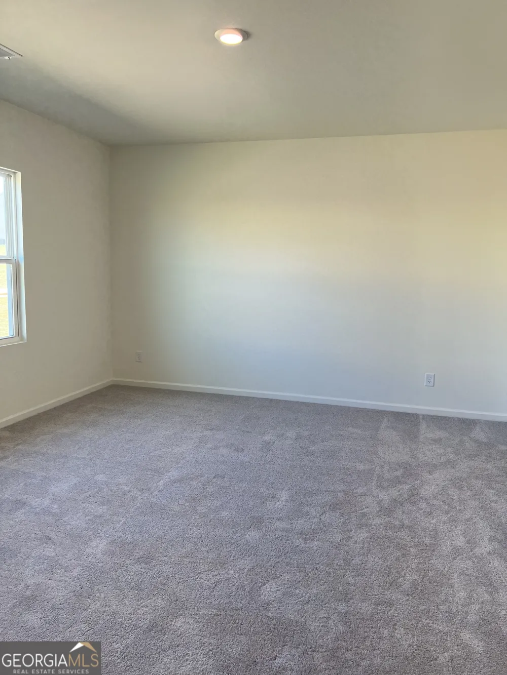 309 San Vito Way Cartersville, GA 30120
