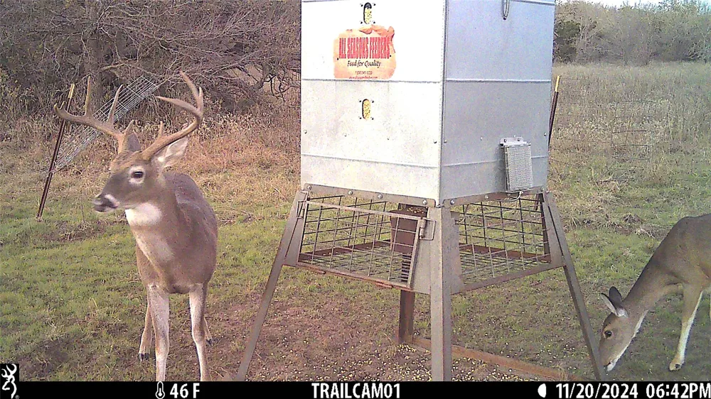 W Fm 52 Whitt, TX 76490
