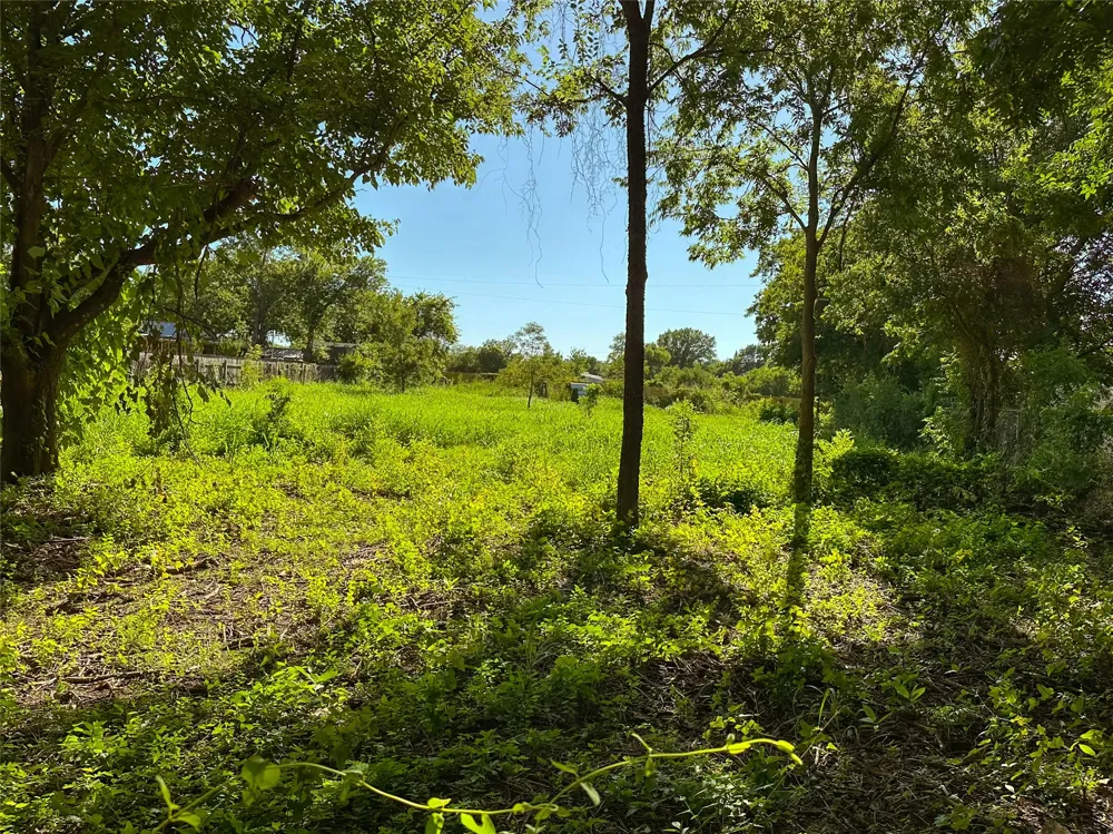 403 Gaither Street Glen Rose, TX 76043