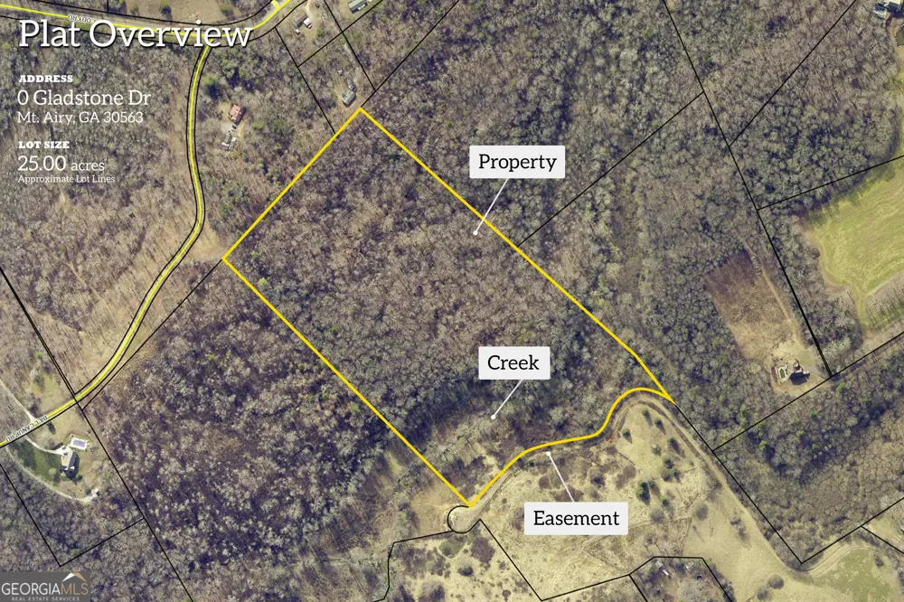 0 Gladston DR Mount Airy, GA 30563