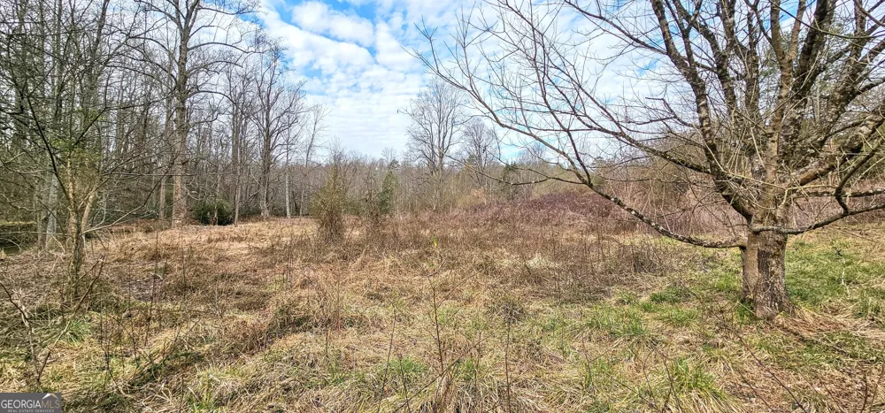 0 Gladston DR Mount Airy, GA 30563